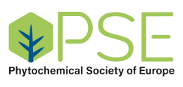 2024 12 PSE logo1 260x124