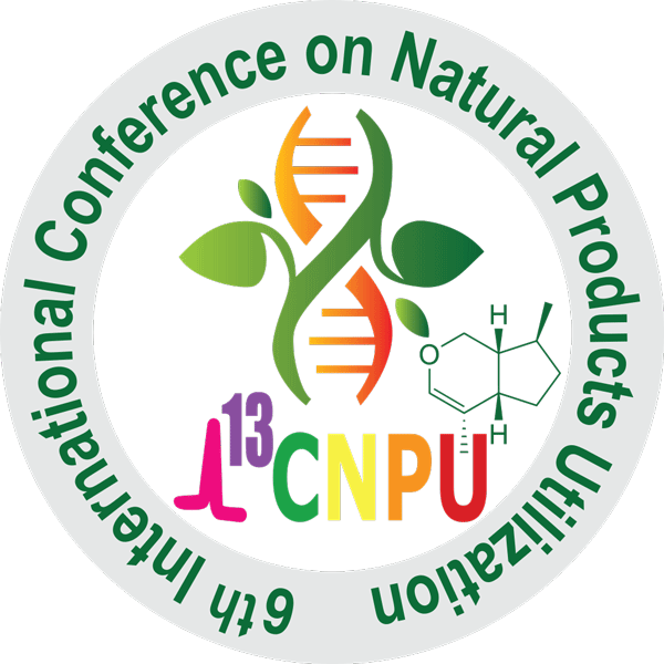 ICNPU 2025