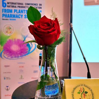 Conference photograph 2