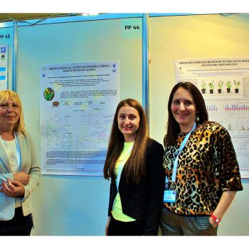 Conference photograph 21
